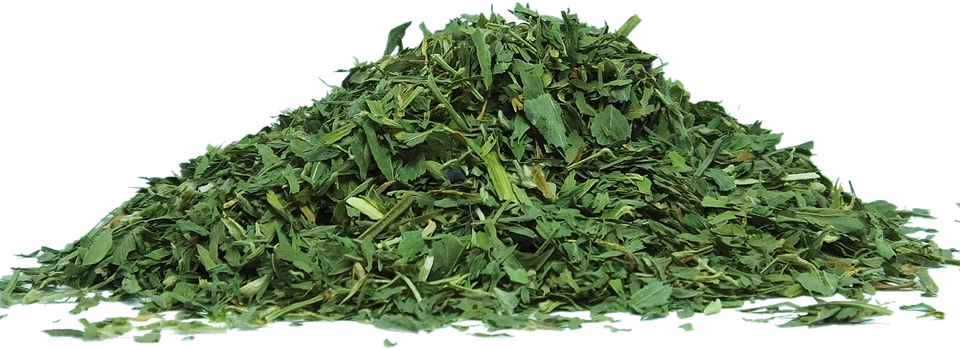 cyaba